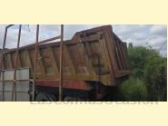 Ver ficha PEPIN BPV 68 D
